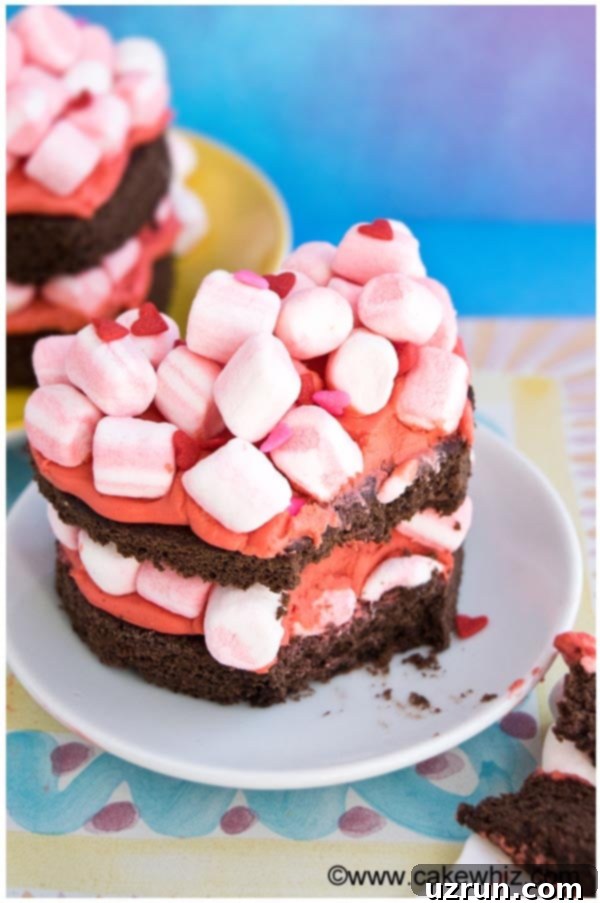 Chocolate Marshmallow Heart Cake 3 Mini Heart Cake With Strawberry Frosting and Pink Marshmallows on White Plate, close up view.