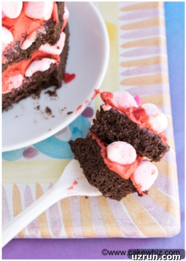 Chocolate Marshmallow Heart Cake 4 Spoonful of Chocolate Cake With Strawberry Frosting and Mini Marshmallows- Closeup Shot, showing texture.
