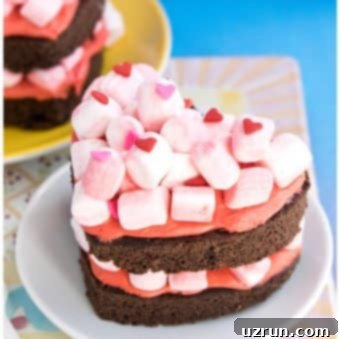 Chocolate Marshmallow Heart Cake 5 Easy Homemade Chocolate Marshmallow Cake (Heart Cake) on White Plate With Colorful Background