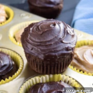 Fluffy Sugar-Free Chocolate Cupcakes 11 Closeup shot of iced cupcake.