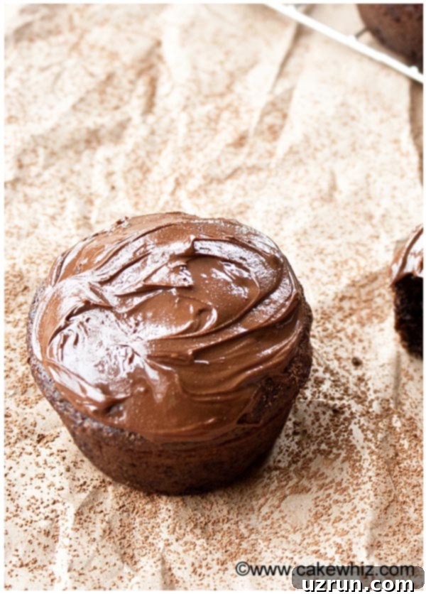 Fluffy Sugar-Free Chocolate Cupcakes 12 Closeup Shot of Iced Cupcake on Brown Paper With Cocoa Powder.
