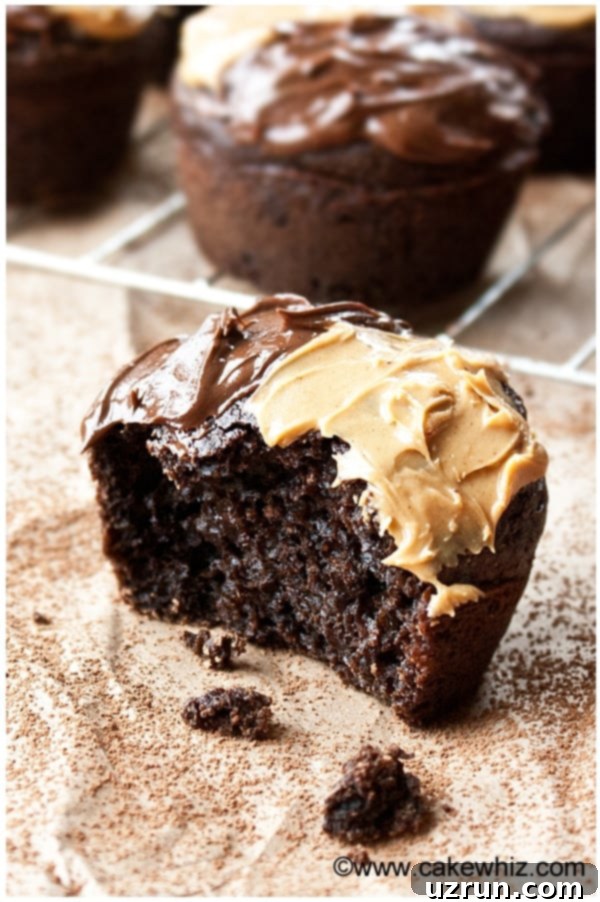 Fluffy Sugar-Free Chocolate Cupcakes 3 Easy Sugar Free Chocolate Cupcakes on Brown Paper- Partially Eaten.