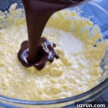 Fluffy Sugar-Free Chocolate Cupcakes 6 Pouring chocolate mixture into butter mixture.