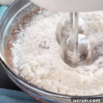 Fluffy Sugar-Free Chocolate Cupcakes 8 Dry mixture being mixed with the wet mixture in glass bowl.