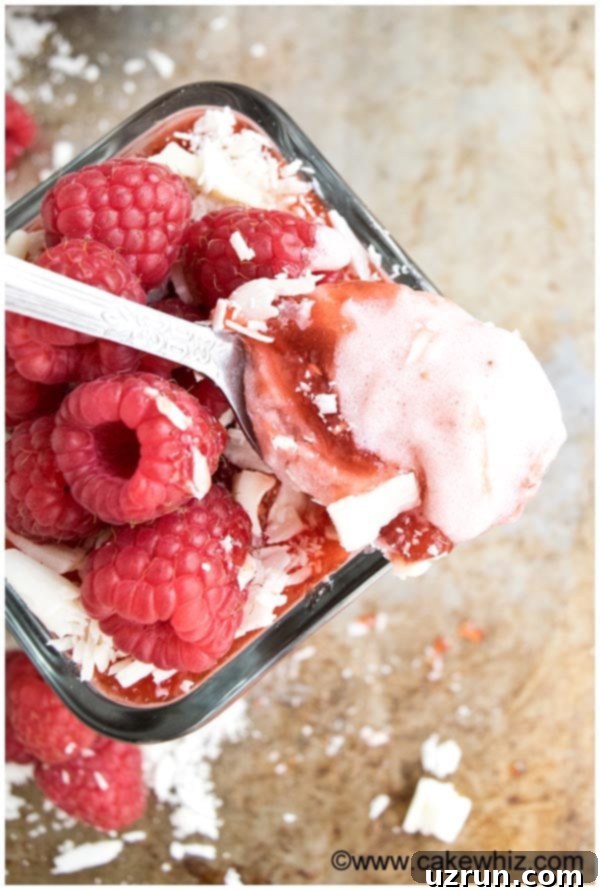 Effortlessly Light and Fluffy Raspberry Mousse 3 Spoonful of Chocolate Raspberry Mousse- Closeup Shot