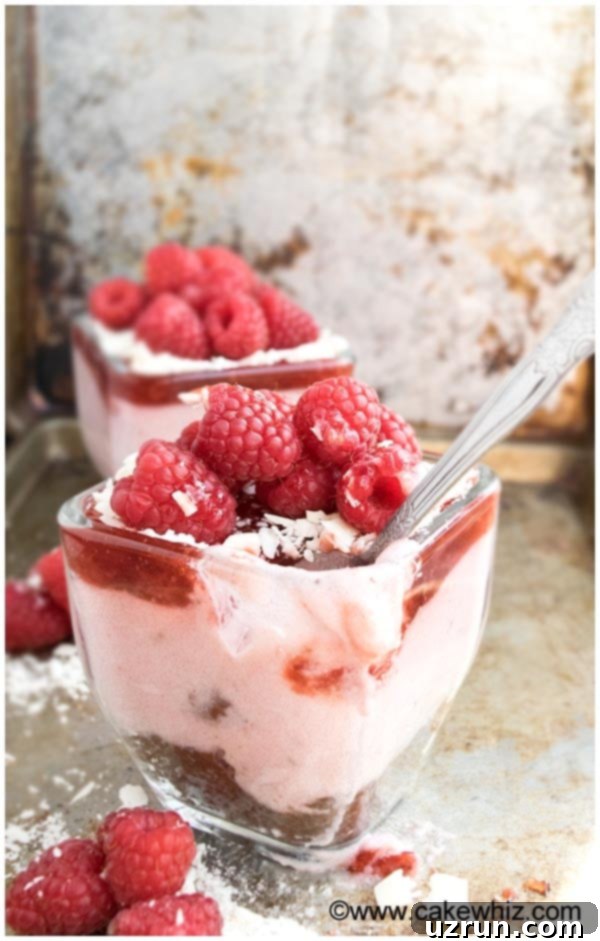 Effortlessly Light and Fluffy Raspberry Mousse 4 Cup of Pink Berry Mousse in Glass Cup on Rustic Background- Partially Eaten
