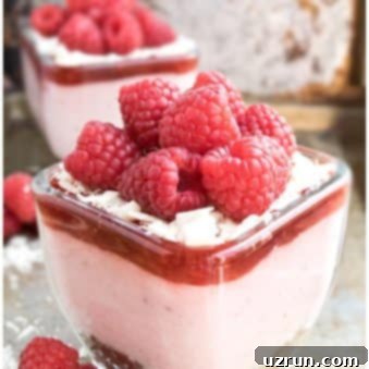 Effortlessly Light and Fluffy Raspberry Mousse 6 Easy Raspberry Mousse in Glass Cup With Brownie Bottom on Rustic Background