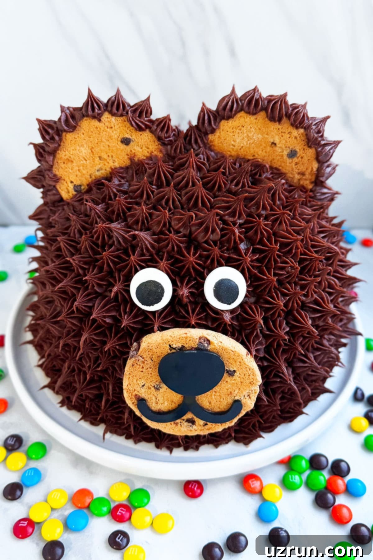 Easy Homemade Bear Birthday Cake on White Dish. 