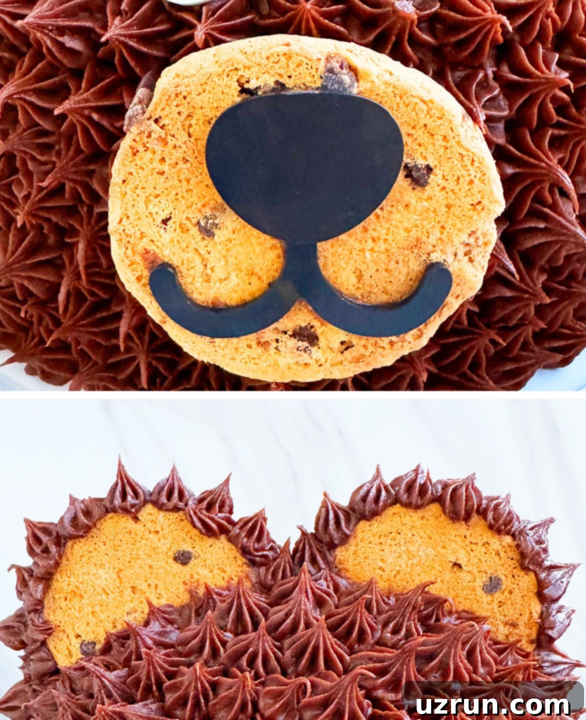 Bake a Beary Easy Party Cake 4 Collage Image With Closeup Shots of Cake Details.