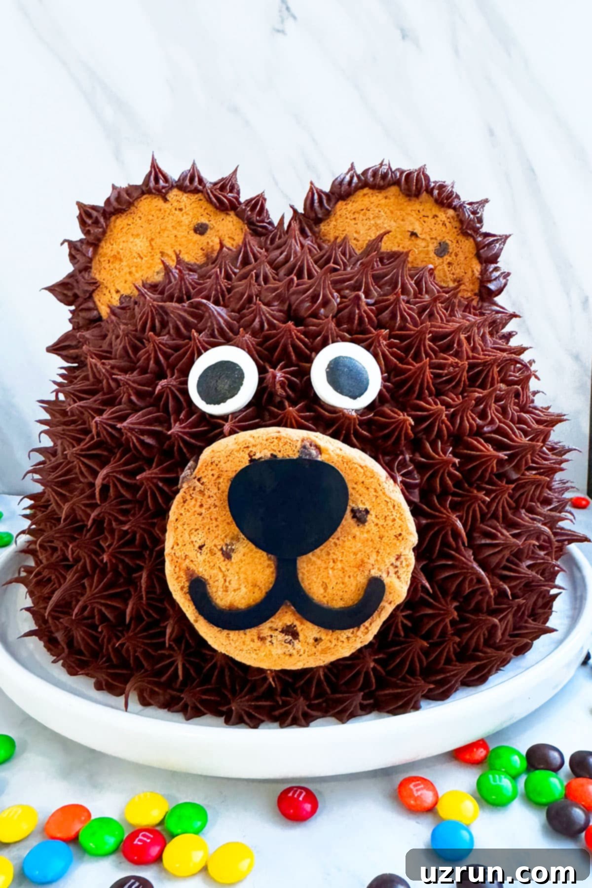 Bake a Beary Easy Party Cake 7 Easy Teddy Bear Cake With Chocolate Frosting on White Dish.