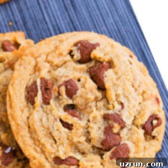 Chewy Small Batch Peanut Butter Chocolate Chip Cookies 6 Easy Soft and Chewy Small Batch Peanut Butter Cookies on Gray Background- Closeup Shot