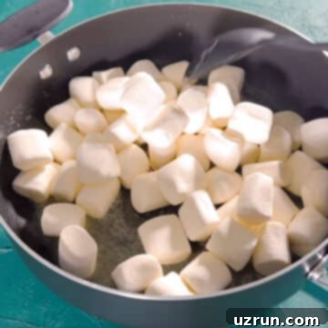 Three-Ingredient Rainbow Cereal Bars 6 Marshmallows added to the melted butter in a large nonstick pot.