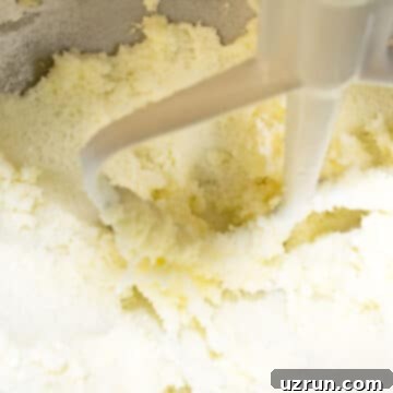 Pillowy Lemon Raspberry Cupcakes 3 Butter and granulated sugar being creamed together in a mixing bowl until light and fluffy.