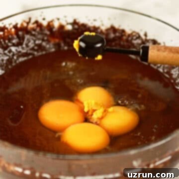 Fudgy Chocolate Orange Brownies 5 Eggs added to brownie batter.