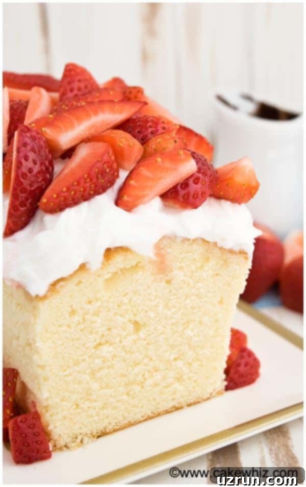 Classic Sour Cream Pound Cake Loaf 2 Delightfully moist sour cream pound cake, garnished with fresh whipped cream and ripe strawberries, presented on an elegant white tray with a gold rim.