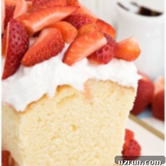 Classic Sour Cream Pound Cake Loaf 5 Easy Sour Cream Pound Cake With Whipped Cream and Strawberries on White Tray With Gold Rim