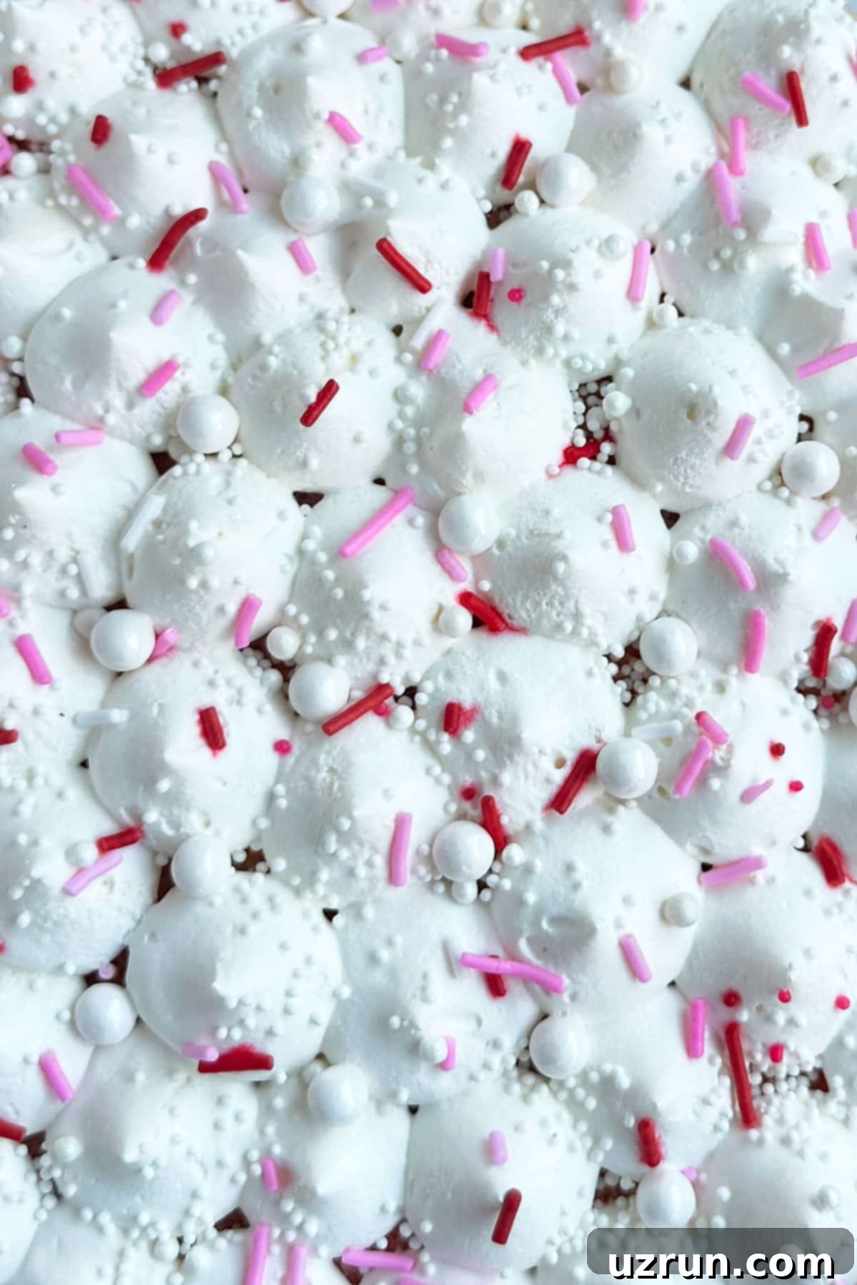 Easy Strawberry Pink Champagne Cake 6 Closeup Shot of Piped Whipped Cream and Pink Sprinkles.