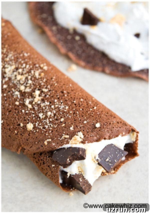 Effortless Blender Chocolate Crepes 2 Easy Homemade Chocolate Crepes on White Background
