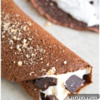 Effortless Blender Chocolate Crepes 5 Easy Homemade Chocolate Crepes on White Background