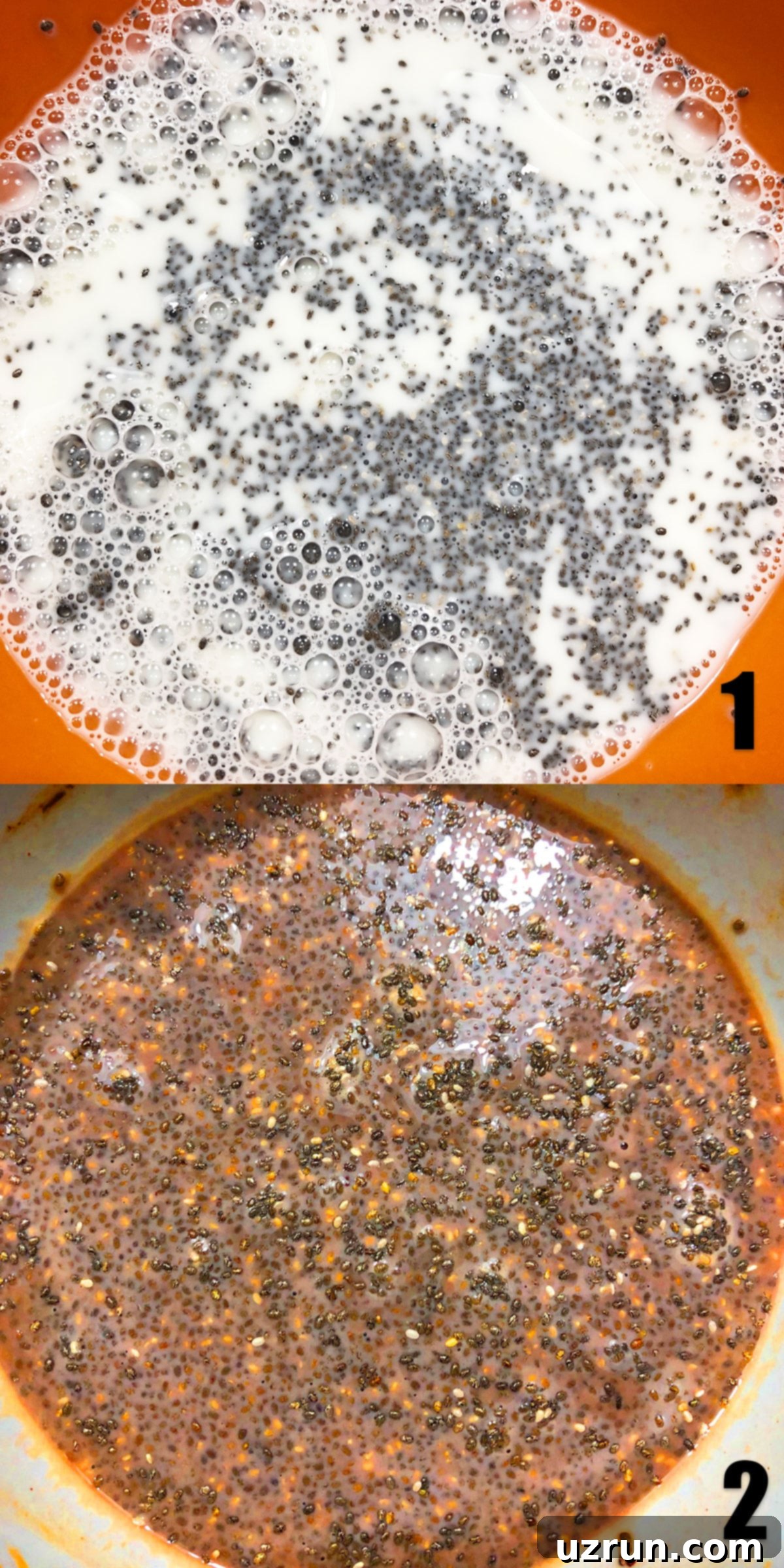 Effortless 5 Ingredient Chocolate Chia Seed Pudding 4 Collage Image With Step by Step Process Shots.