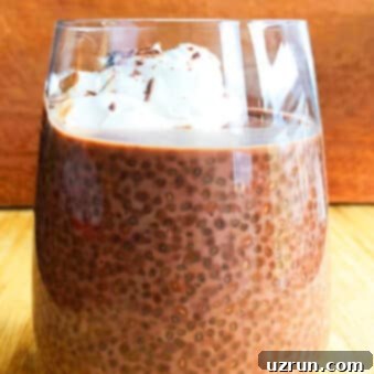 Effortless 5 Ingredient Chocolate Chia Seed Pudding 5 Easy Chocolate Chia Seed Pudding With Whipped Cream in Glass Cup.