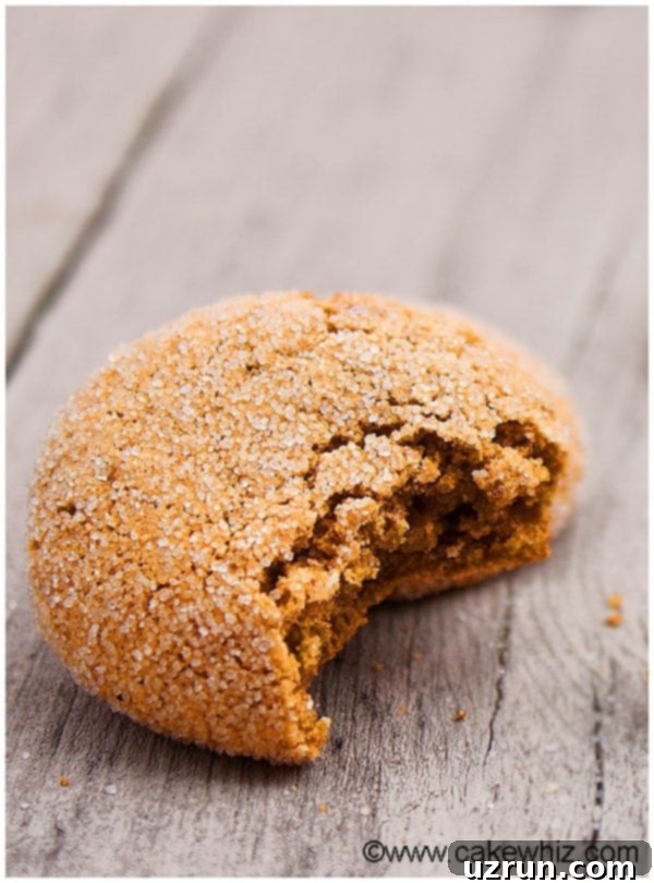 Soft Chewy Ginger Molasses Cookies 3 Partially Eaten Fat Free Ginger Cookies on Rustic Gray Background