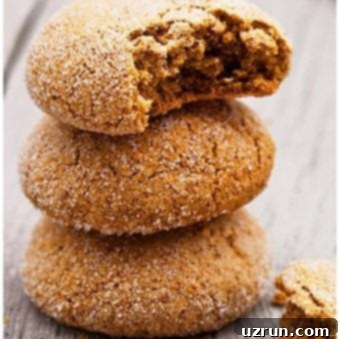 Soft Chewy Ginger Molasses Cookies 5 Stack of Easy Ginger Molasses Cookies on Rustic Gray Background