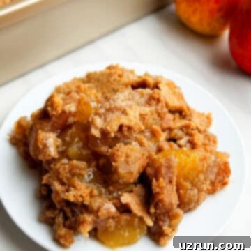 Easy Cake Mix Apple Dump Cake 11 Easy Apple Dump Cake With Cake Mix on White Dish.