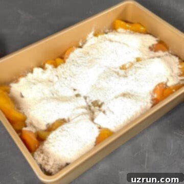 Easy Cake Mix Apple Dump Cake 5 Cake mix powder sprinkled on top of pie filling.