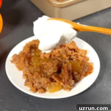Easy Cake Mix Apple Dump Cake 9 Cake with scoop of whipped cream.