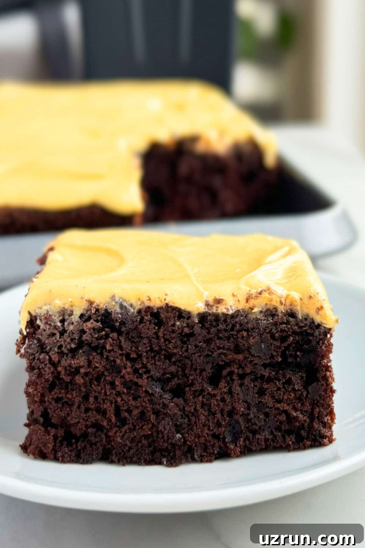 Rich Chocolate Pumpkin Cake with Tangy Cream Cheese Frosting 3 Slice of Easy Chocolate Pumpkin Cake With Pumpkin Cream Cheese Frosting on White Dish.