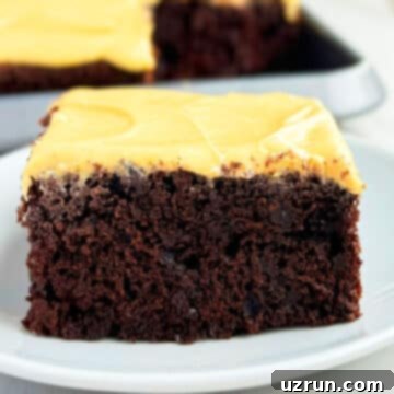 Rich Chocolate Pumpkin Cake with Tangy Cream Cheese Frosting 5 Slice of Easy Chocolate Pumpkin Cake With Pumpkin Cream Cheese Frosting on White Dish.