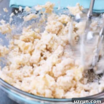 Salted Caramel Chocolate Chip Cookies 4 Butter and sugar being creamed in mixing bowl.
