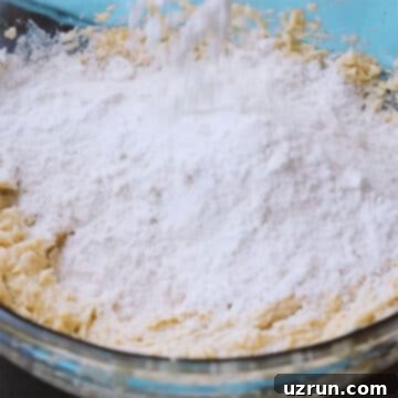 Salted Caramel Chocolate Chip Cookies 6 Dry ingredients added to mixture.