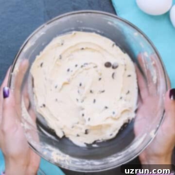 Salted Caramel Chocolate Chip Cookies 8 Smooth combined cookie dough in mixing bowl.