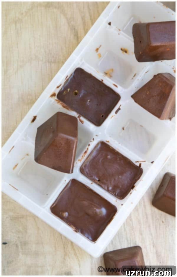 Chilled Gourmet Chocolate Gems 3 Ice Cube Tray Chocolate Candy on Wood Background