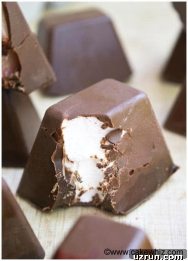 Chilled Gourmet Chocolate Gems 5 Homemade Fancy Chocolate With Marshmallow Filling- Partially Eaten
