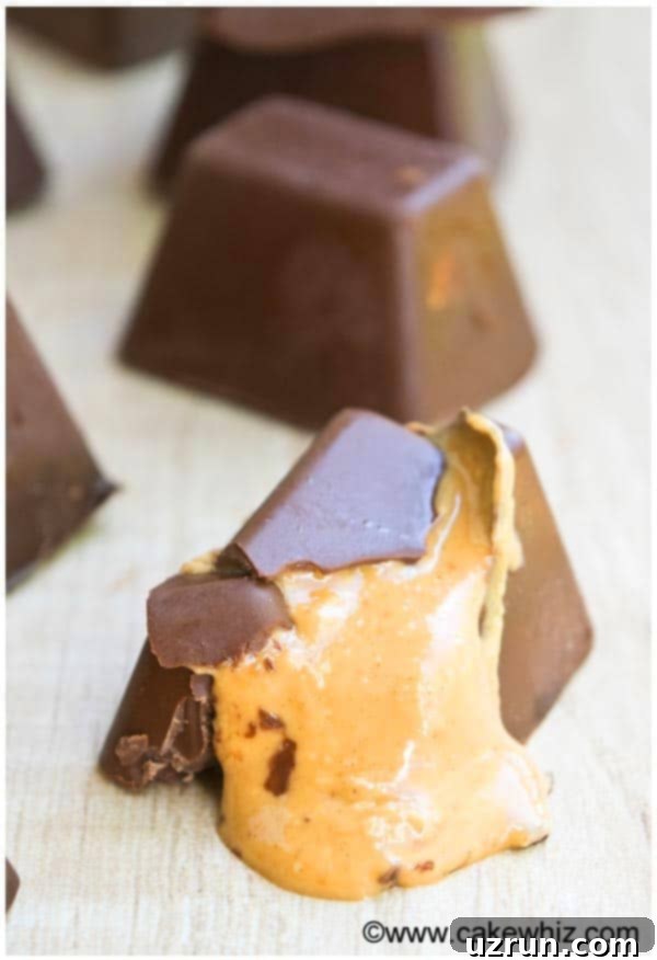Chilled Gourmet Chocolate Gems 6 Easy Gourmet Candy With Peanut Butter Filling- Partially Eaten