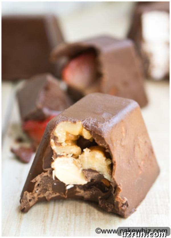 Chilled Gourmet Chocolate Gems 8 Ice Cube Candy With Walnuts- Partially Eaten