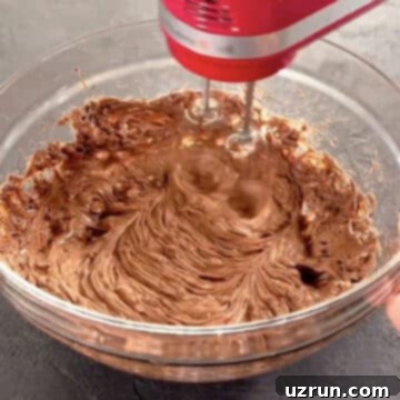 Creamy Nutella Hazelnut Buttercream 9 Ingredients being mixed with a hand mixer in a glass bowl.