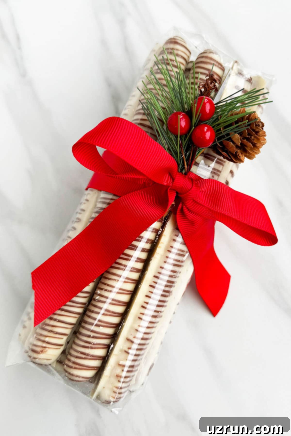 Easy Homemade Food Gifts for Christmas 20 Homemade Chocolate Covered Pretzels in Plastic Bag With Bow.