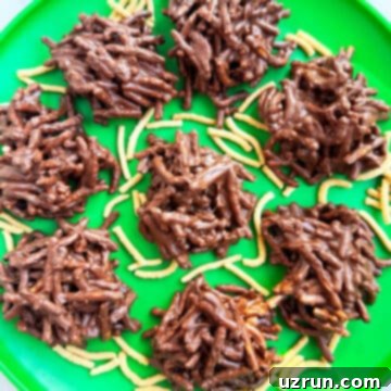 Easy No-Bake Chocolate Haystacks 11 Easy No Bake Haystack Cookies With Chocolate And Butterscotch on Green Dish.