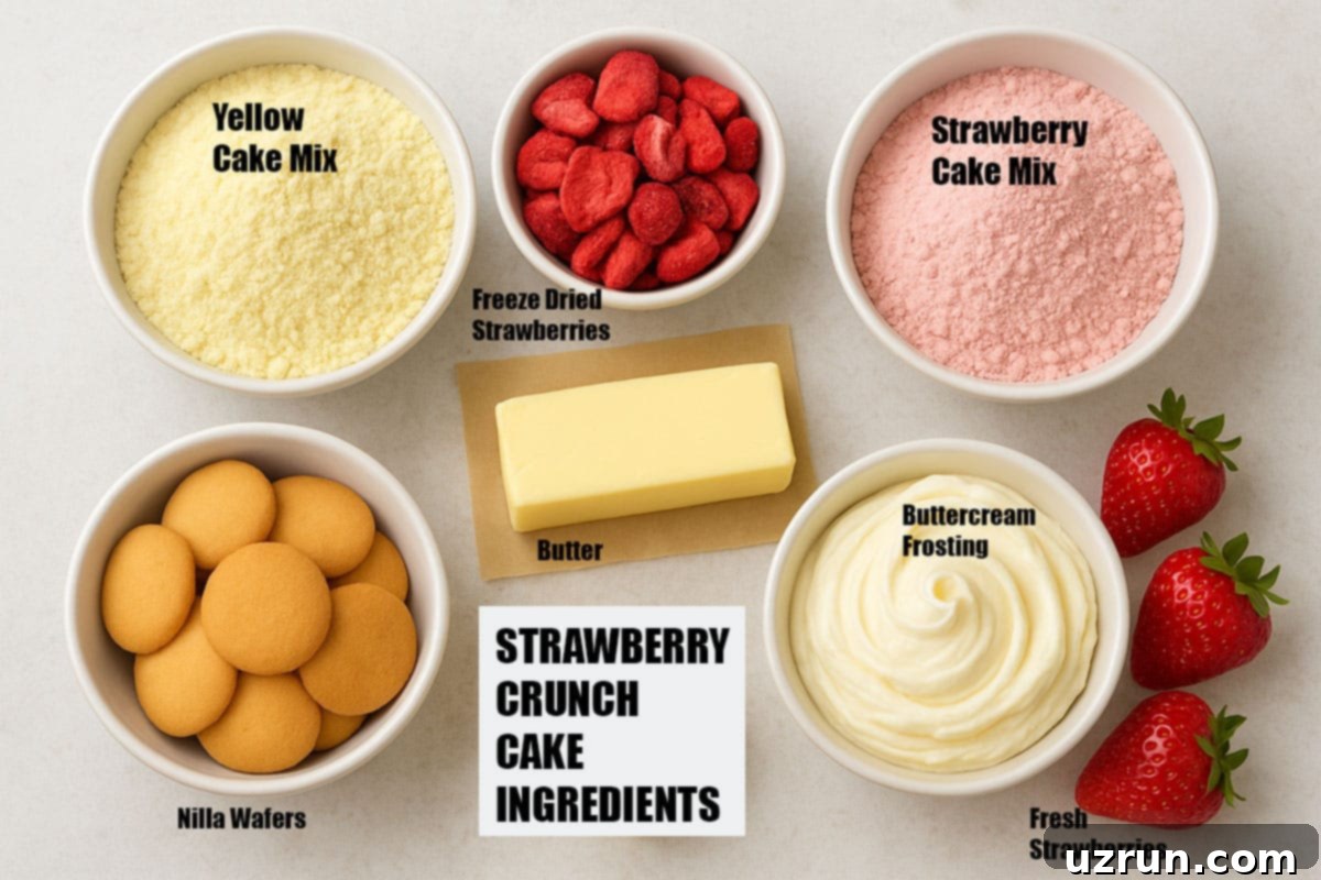 Individual ingredients on neutral white background 