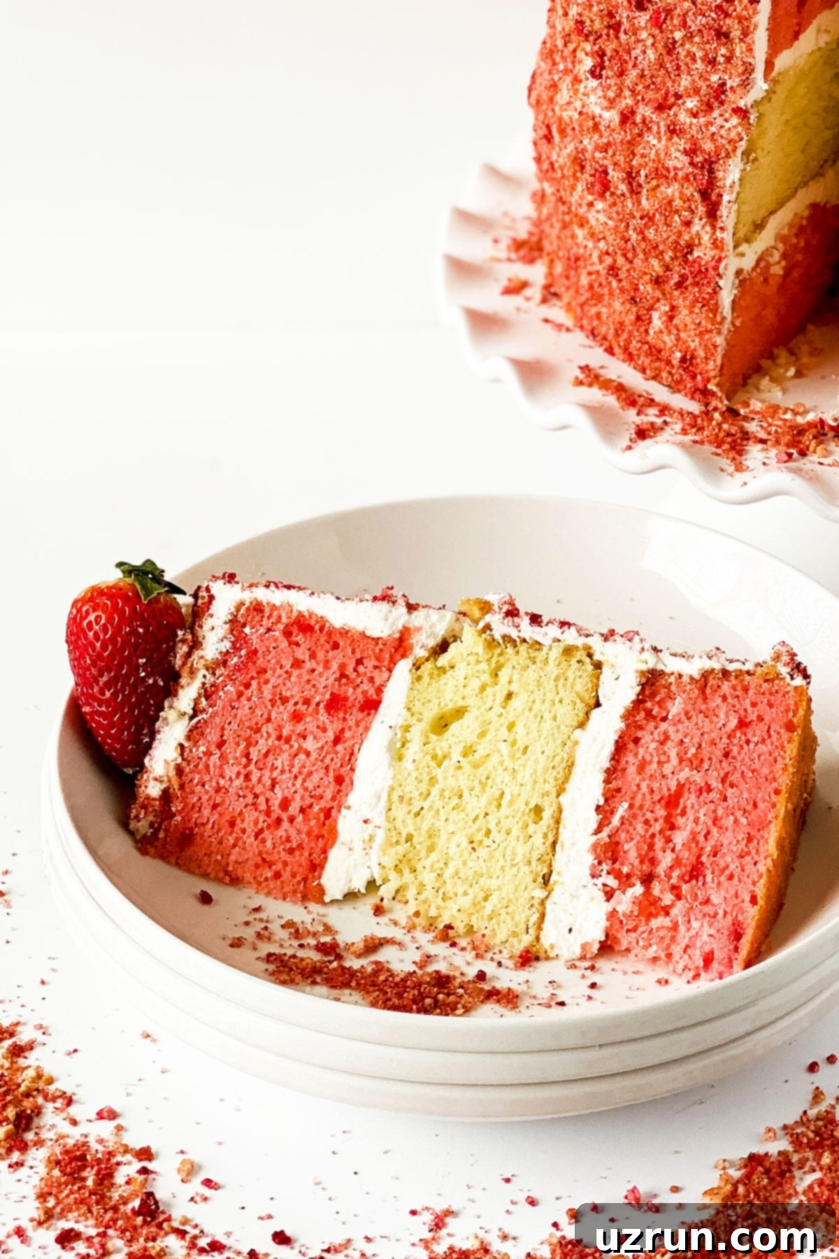 Slice of Cake on White Dish. 