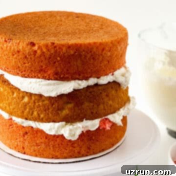 Three cake layers stacked with buttercream icing in between them. 
