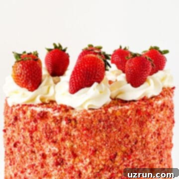Top of cake decorated with swirls of buttercream and fresh strawberries. 