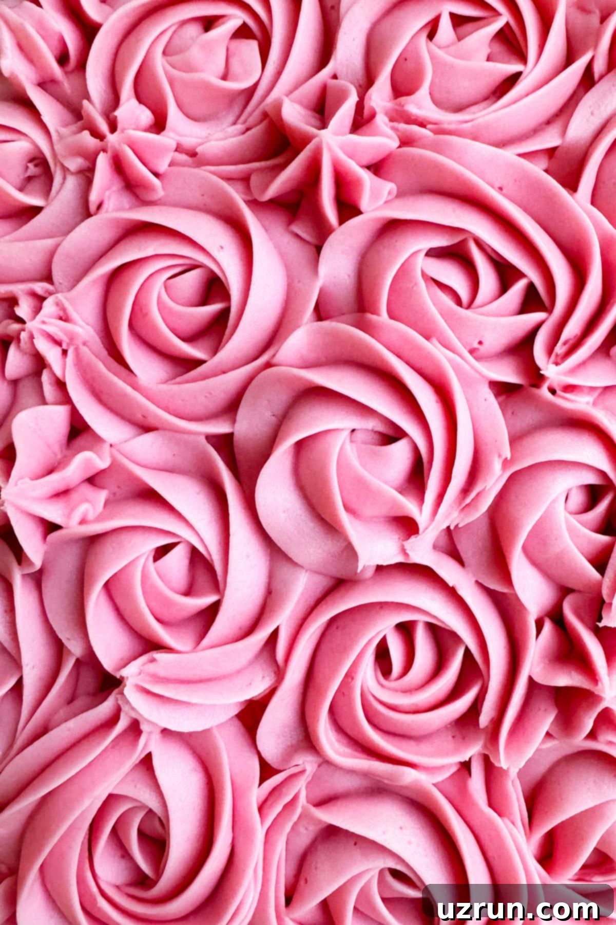 Pink Ombre Mother's Day Celebration 3 Closeup shot of beautifully piped pink buttercream roses on the cake.