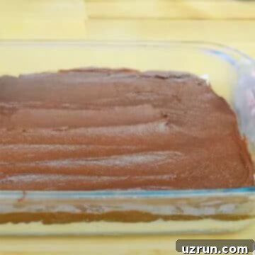 Chocolate Coconut Macaroon Bars 6 Chocolate Ganache Layer spread smoothly on Top of Chilled Coconut Layer.