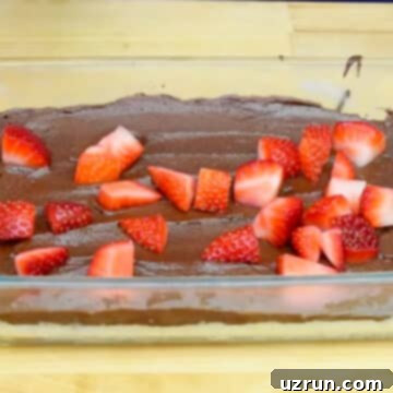 Chocolate Coconut Macaroon Bars 7 Fresh strawberry slices delicately placed on top of the unset chocolate layer, ready for chilling.
