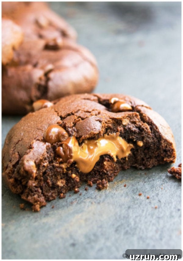 Decadent Fudgy Chewy Triple Chocolate Cookies 3 Closeup Shot of Triple Chocolate Chip Cookie With One Bite Removed
